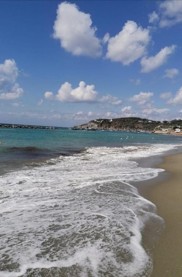 La Bicocca Di Annavi Bed and Breakfast Forio di Ischia Buitenkant foto