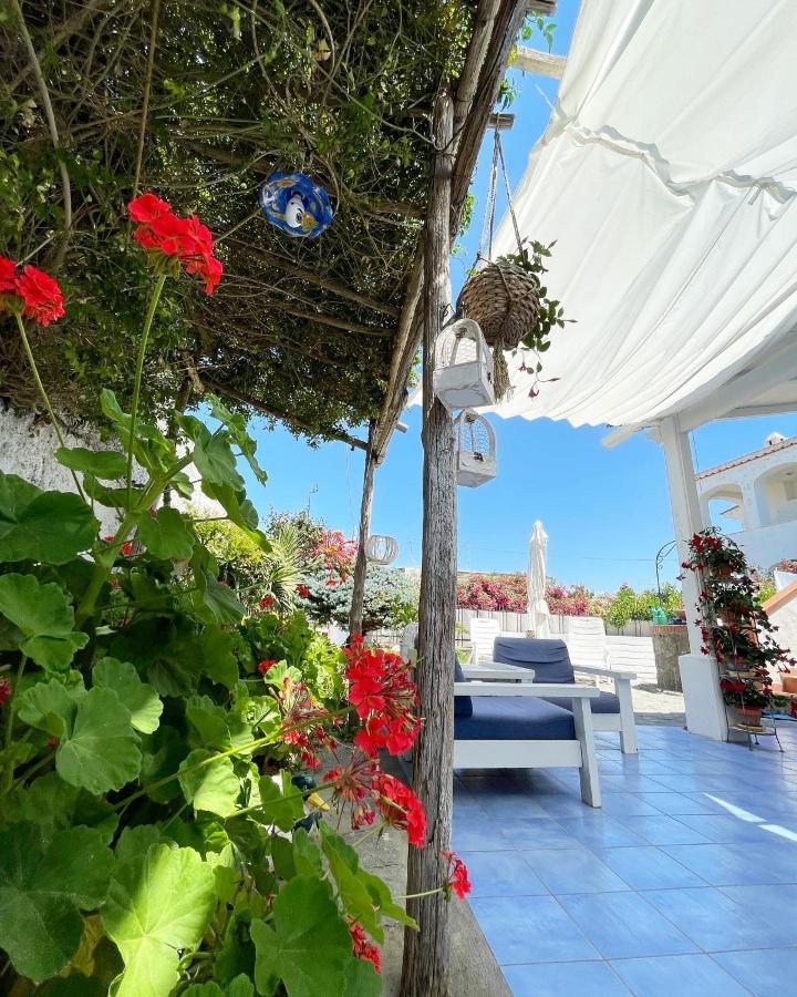La Bicocca Di Annavi Bed and Breakfast Forio di Ischia Buitenkant foto