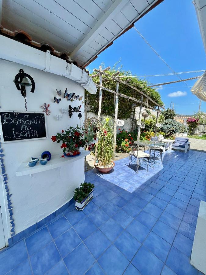 La Bicocca Di Annavi Bed and Breakfast Forio di Ischia Buitenkant foto
