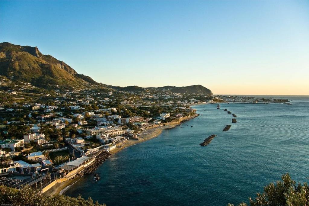 La Bicocca Di Annavi Bed and Breakfast Forio di Ischia Buitenkant foto